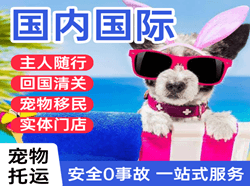 榆林榆阳航空邮寄国际宠物托运 【国